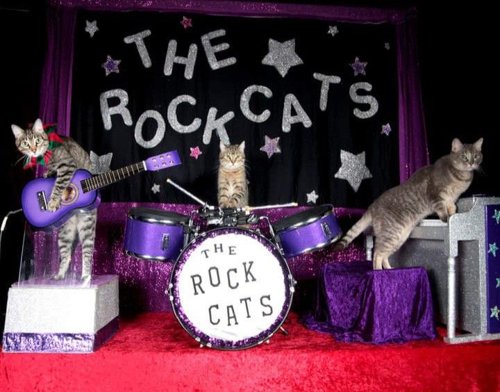 Обложка теста Какой музыкальный инструмент подходит тебе по вайбу