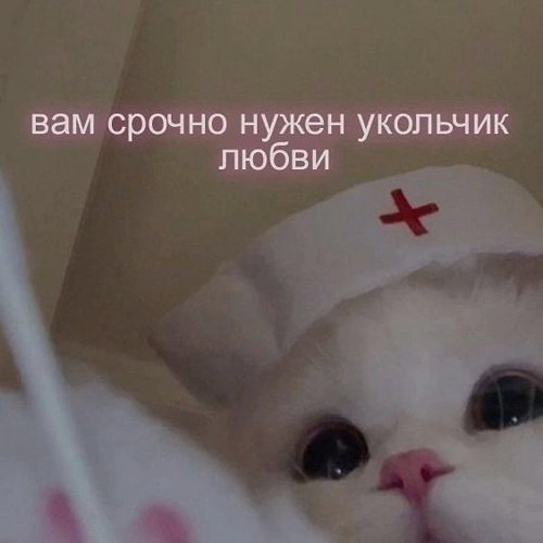 Обложка теста Какой вы подкат?