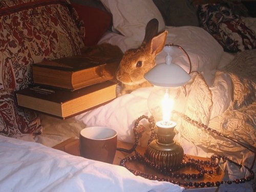 Обложка теста Какой магической способностью вы бы обладали?